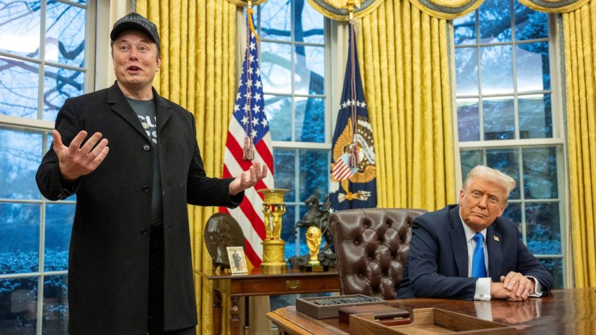 Elon Musk speaks about his federal cost-cutting efforts as US President Donald Trump looks on in the Oval Office of the White House on February 11.