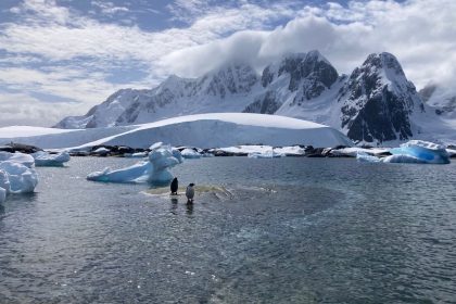 Antarctica's pristine wilderness is protected by a treaty.