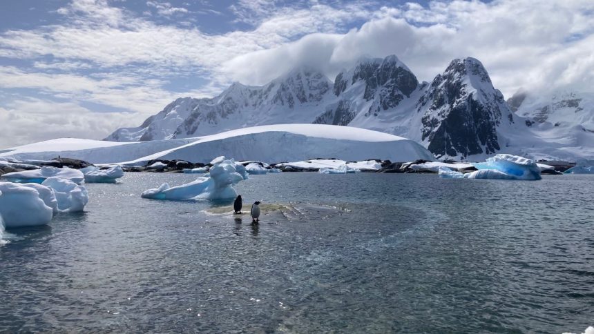 Antarctica's pristine wilderness is protected by a treaty.