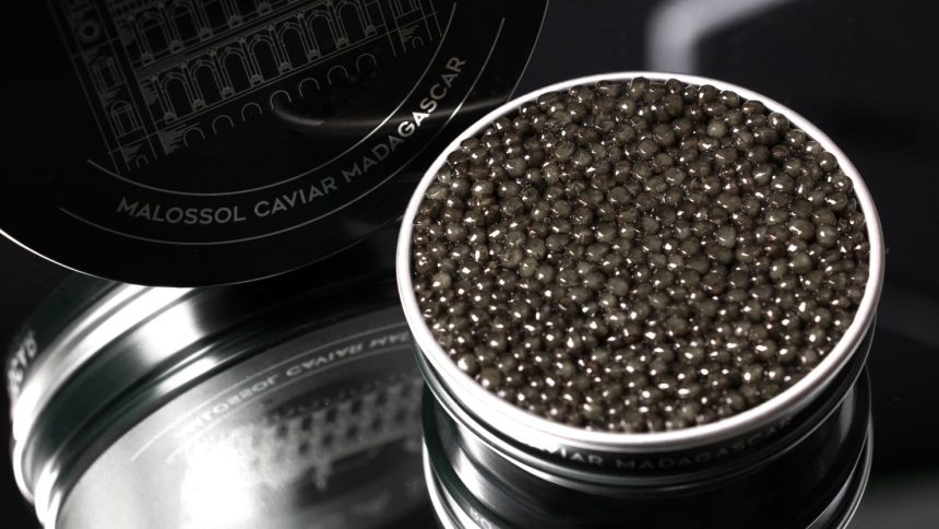 Acipenser, with its Rova and Kasnodar Caviar brands, is the first caviar manufacturer in Africa.