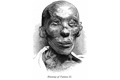 The mummy of Thutmose II illustrated in the book "From Pharaoh to Fellah" in 1888.