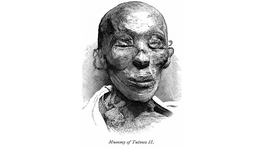 The mummy of Thutmose II illustrated in the book "From Pharaoh to Fellah" in 1888.