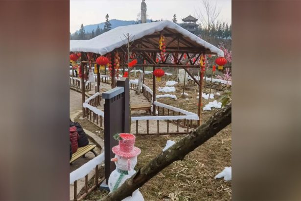 Fake snow, made of cotton, is seen at a village in Chengdu, China.