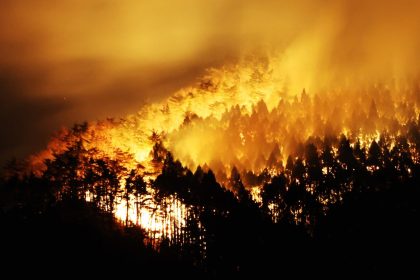 A forest fire burns in Ofunato, Iwate prefecture, Japan on March 3, 2025.