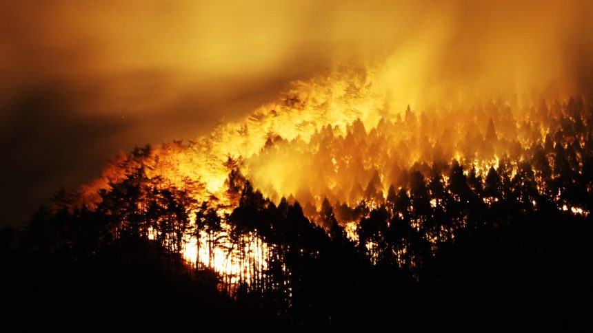 A forest fire burns in Ofunato, Iwate prefecture, Japan on March 3, 2025.