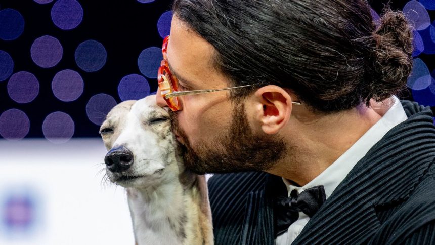 Miuccia became the fourth whippet to win Best in Show at Crufts.