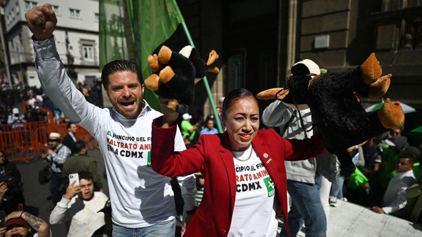 Anti-bullfighting activists celebrate outside Mexico City's congress after an initiative to overhaul bullfighting was approved.