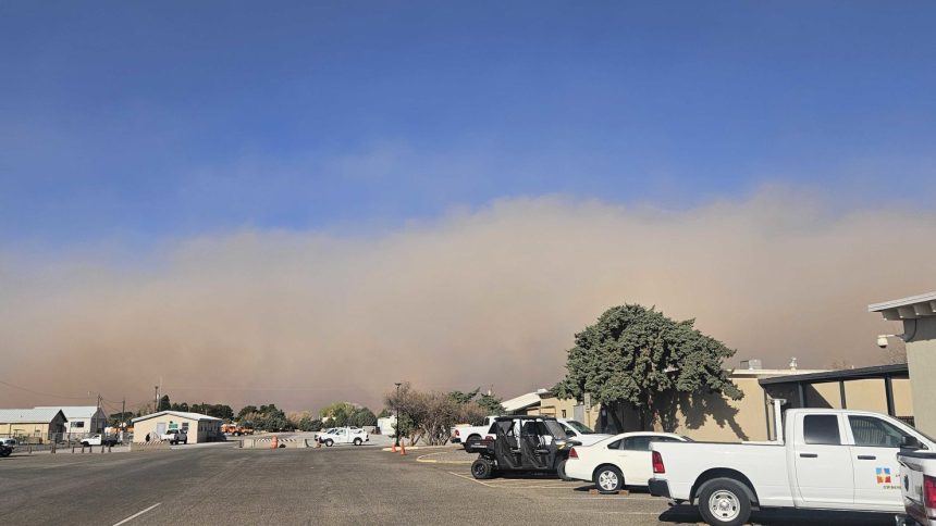 A haboob, or dust storm, swept across southwest New Mexico on Monday, pushing visibility down to near zero.