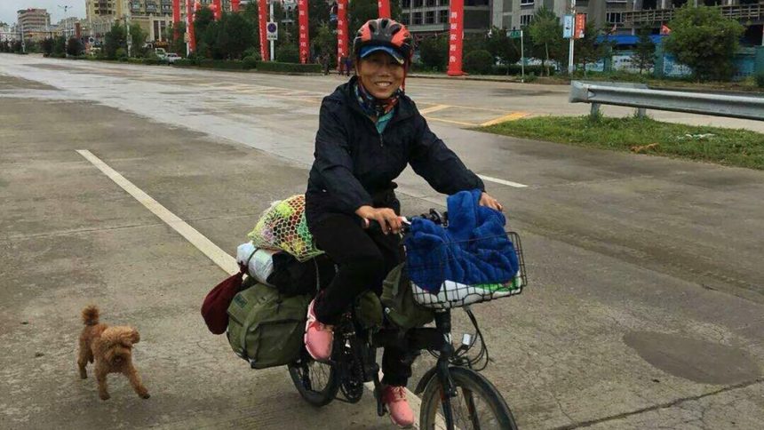 Li Dongju was accompanied by her brown poodle on her cycling journey across China in 2015.