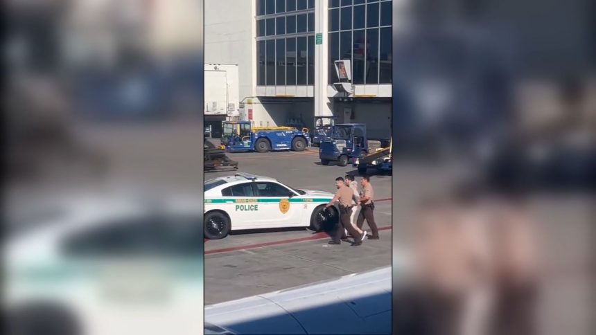 This screengrab taken from video shows Rafael Seirafe-Novaes, 40, being escorted on the tarmac by two police officers and eventually placed in the back of a police car.