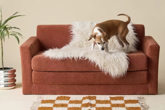 Netto Fold-Out Sleeper Sofa