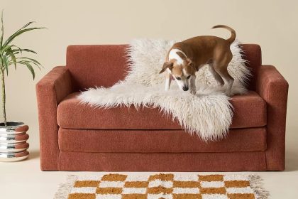 Netto Fold-Out Sleeper Sofa