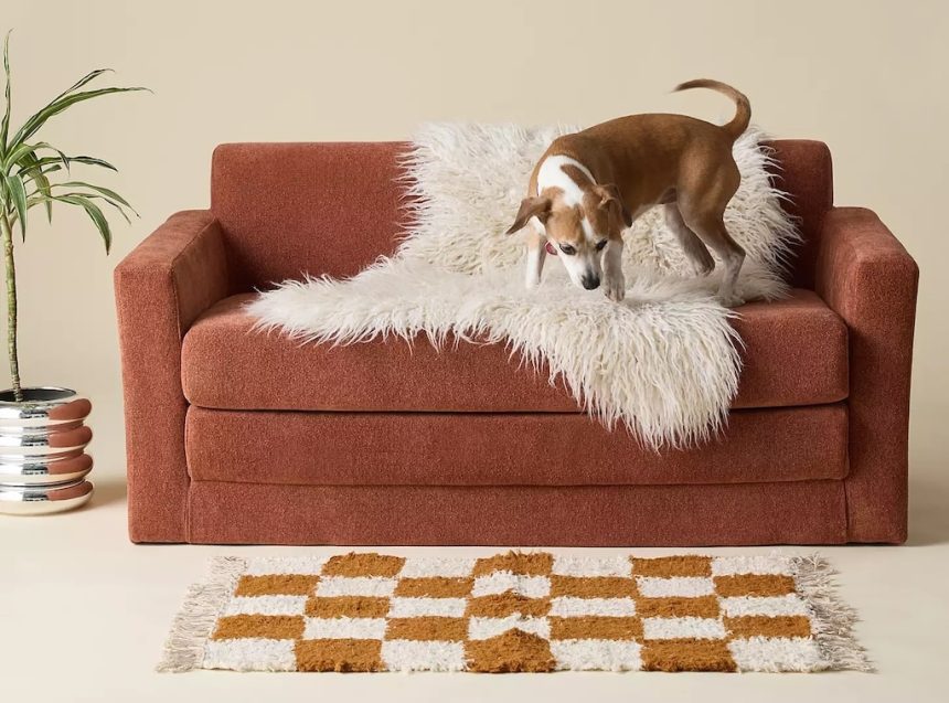 Netto Fold-Out Sleeper Sofa