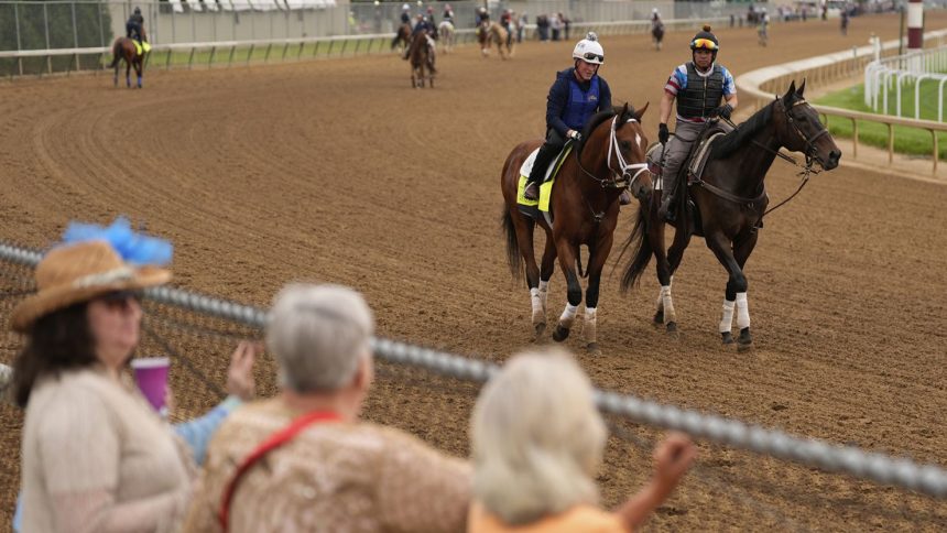 People watch Kentucky Derby entrant Journalism during a workout at Churchill Downs on April 30 in Louisville, Ky.