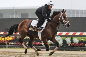 Journalism, the favorite for this year's Preakness Stakes, works out at Pimlico Race Course on Thursday.