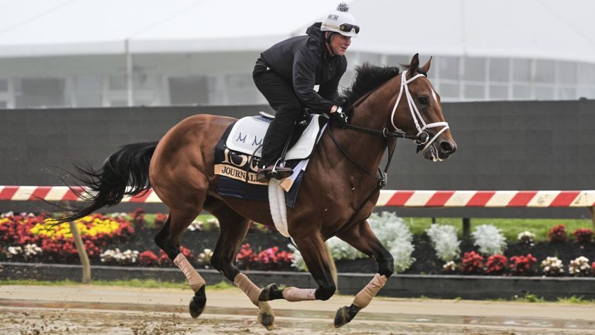 Journalism, the favorite for this year's Preakness Stakes, works out at Pimlico Race Course on Thursday.