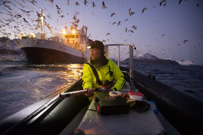 The overall winner of the competition shows a scientist with an airgun, which he uses to tag and monitor whales in the Norwegian fjords.