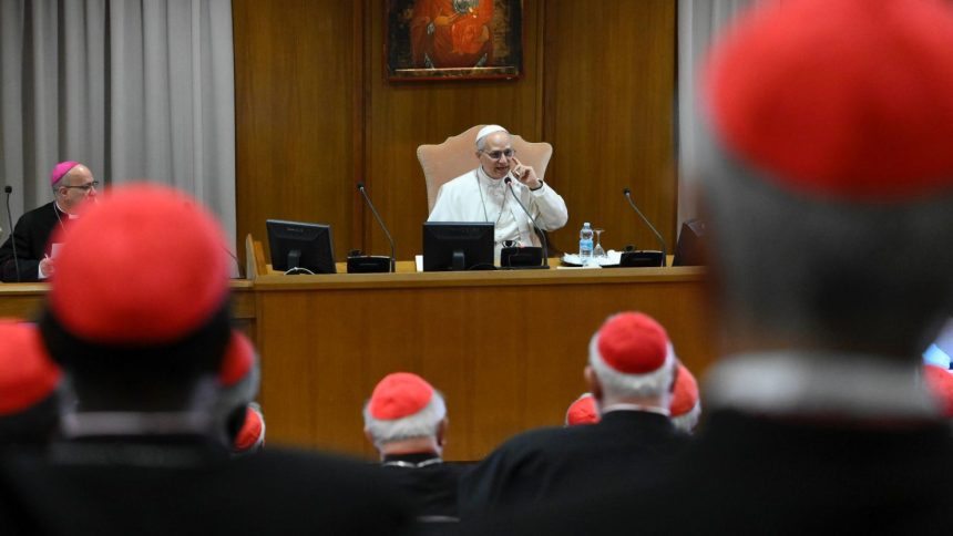 Pope Leo XIV formally meets with cardinals for the first time in the Vatican on Saturday.
