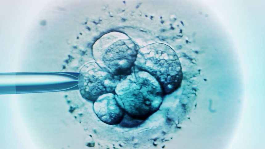 Monash IVF has not named the couples involved, nor has it responded to questions about when the baby was born, or who has custody of the child.