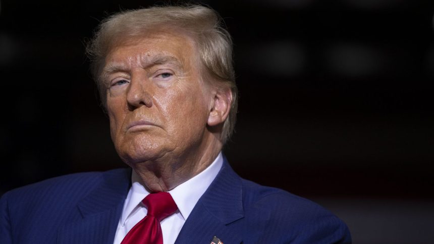 Donald Trump speaks about the economy, inflation, and manufacturing during a campaign event at Alro Steel on August 29, 2024 in Potterville, Michigan.