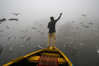 A man feeds seagulls on the smog engulfed waters of the Yamuna river in New Delhi, India, on November 14, 2024.