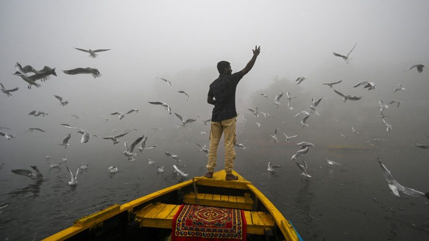 A man feeds seagulls on the smog engulfed waters of the Yamuna river in New Delhi, India, on November 14, 2024.