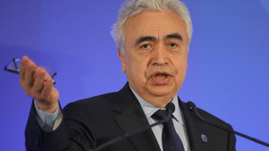 Dr. Fatih Birol, executive director of the International Energy Agency, calls for investment in Africa's energy sources.