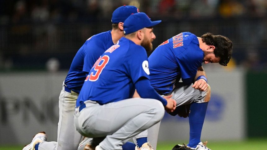Dansby Swanson and Michael Busch of the Chicago Cubs look on after a fan fell from the stands during the seventh inning against the Pittsburgh Pirates at PNC Park.
