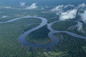 A view over the Amazon rainforest near Iquitos, Peru