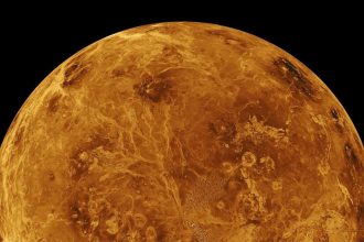 The northern hemisphere of Venus is displayed in this view of the planet created with data from NASA's Magellan spacecraft.