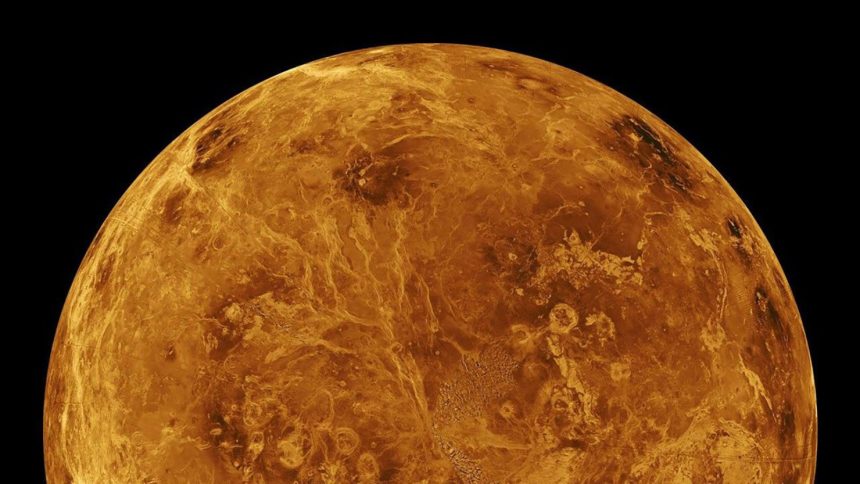 The northern hemisphere of Venus is displayed in this view of the planet created with data from NASA's Magellan spacecraft.
