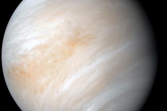 As it sped away from Venus, NASA's Mariner 10 spacecraft captured this seemingly peaceful view of the planet. But, contrary to its serene appearance, the clouded globe of Venus is a world of intense heat, crushing atmospheric pressure and clouds of corrosive acid.