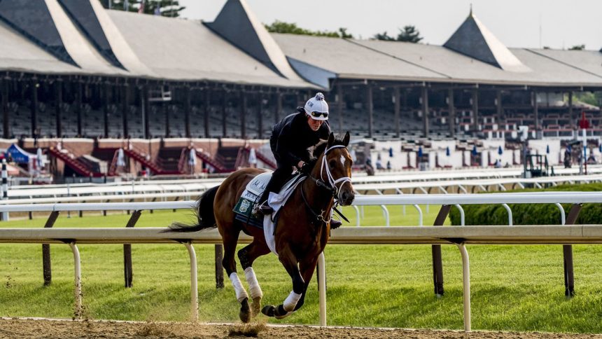 Journalism during a training session ahead of this year's Belmont Stakes.