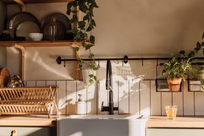SHOP This $20 Amazon Insect Trap Saved My Kitchen main image