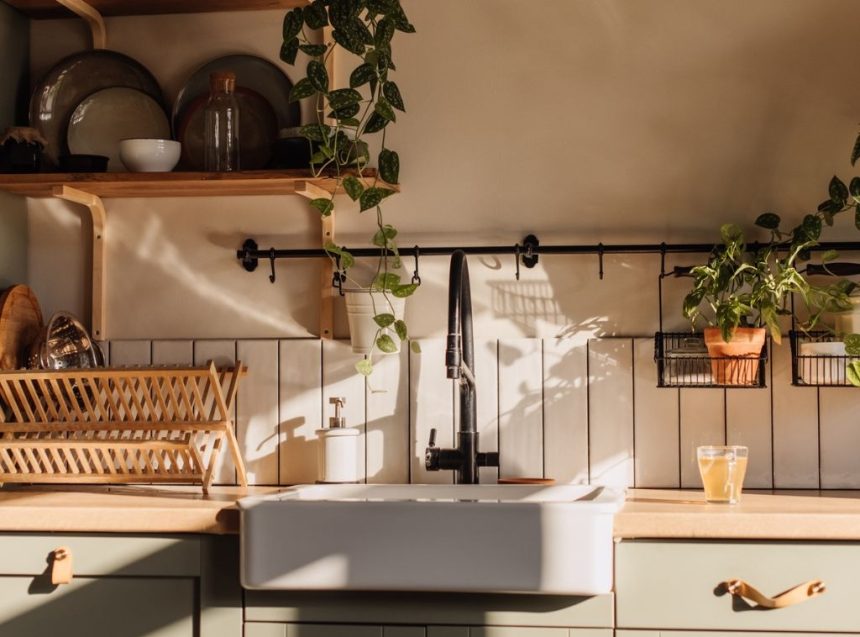 SHOP This $20 Amazon Insect Trap Saved My Kitchen main image