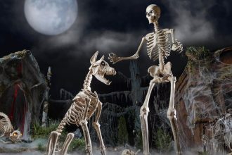 skelly hero image.jpg