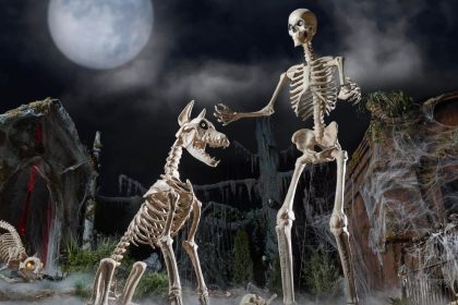 skelly hero image.jpg