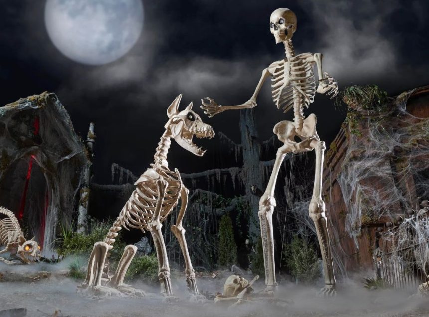skelly hero image.jpg