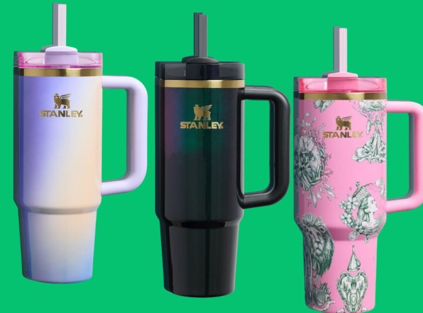 SHOP Wicked: For Good Stanley Cups Now at Target