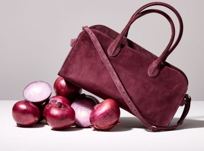 SHOP The Onion Bag Trend